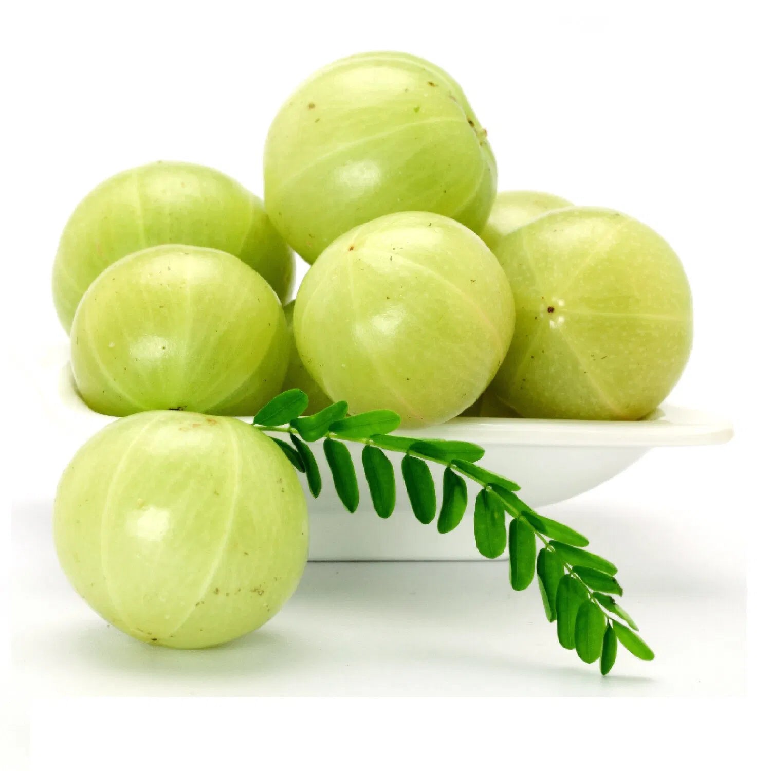 आंवला (Aawala) – Fresh Amla