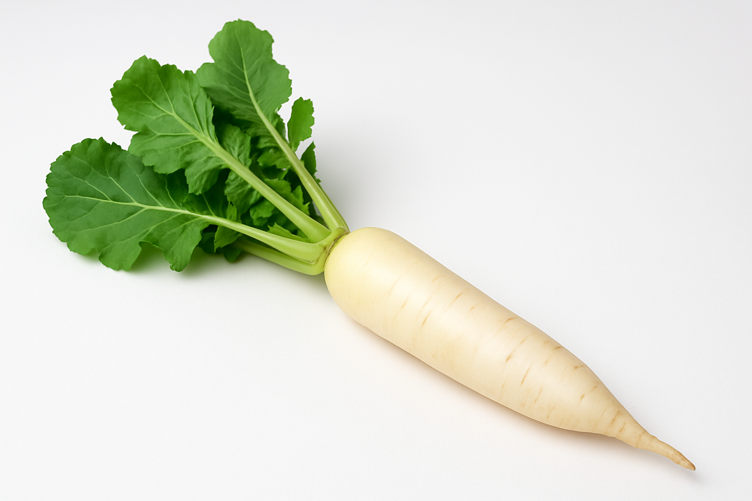 मूली – 1kg (Fresh Radish) - Sabjiwhala