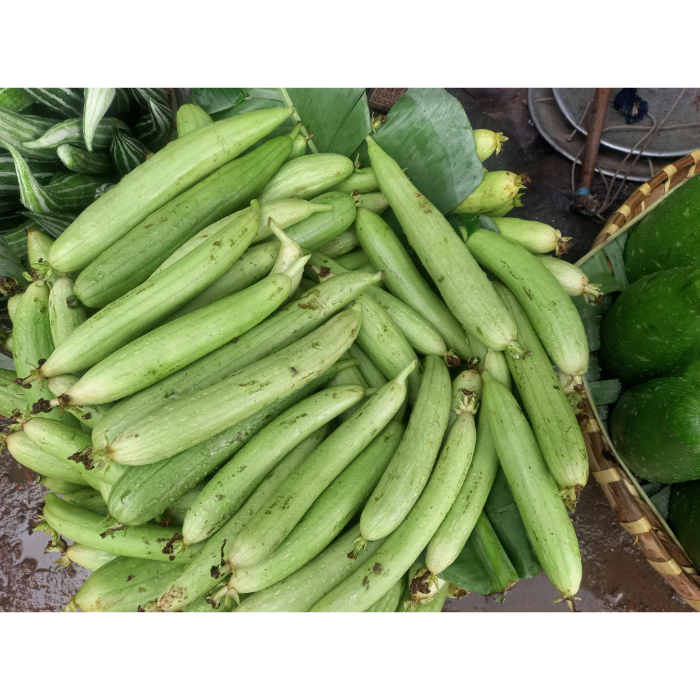 Nenua (Sponge Gourd)