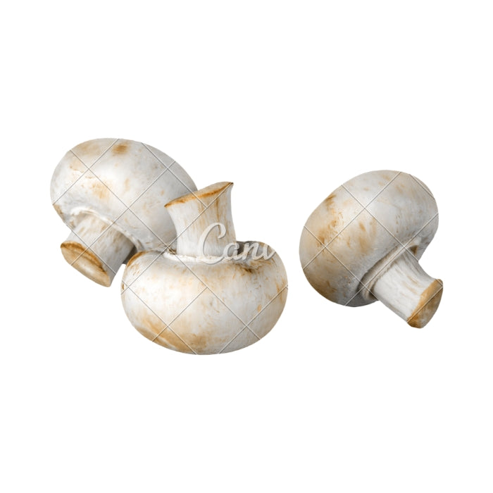 मशरूम (Mushroom)