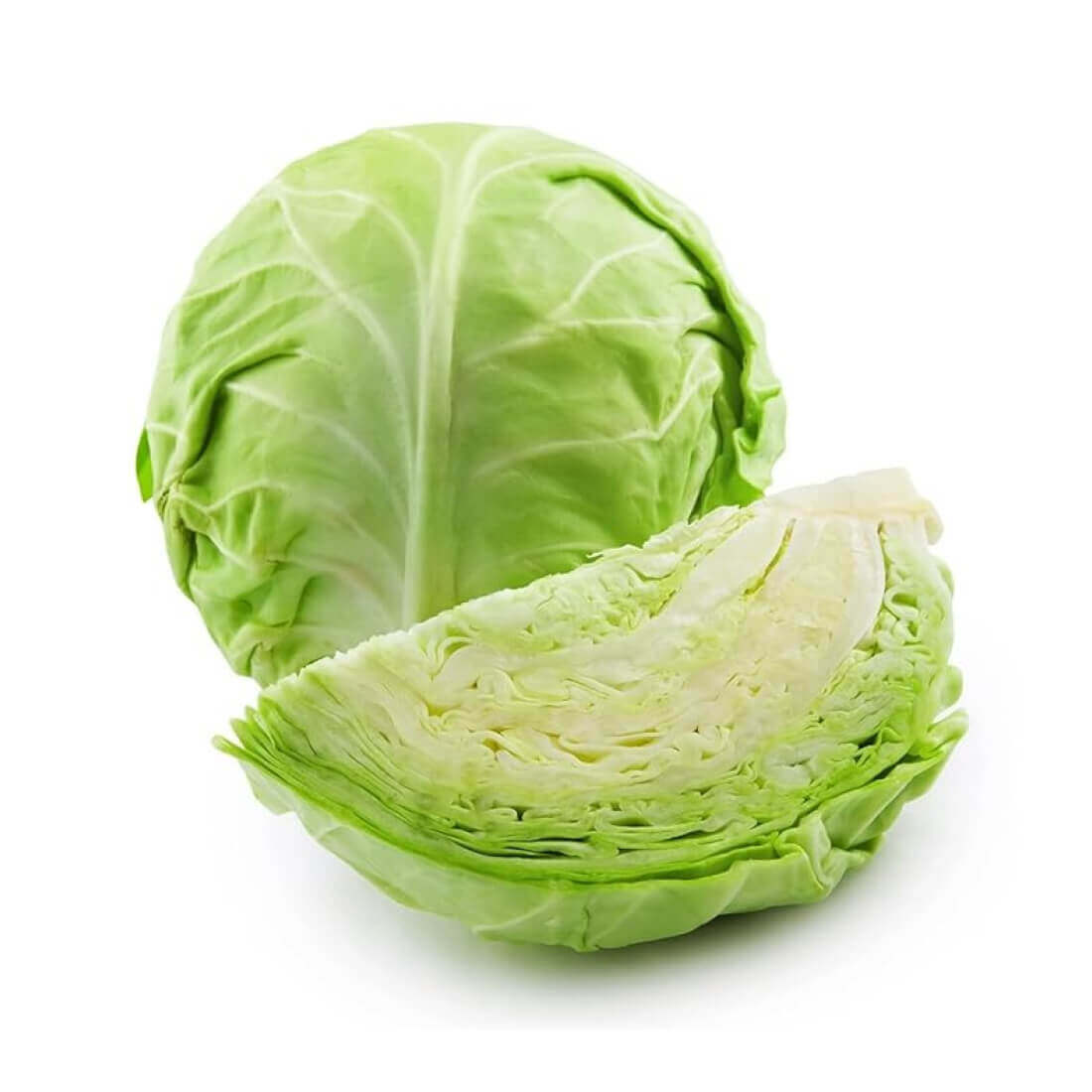 पत्ता गोभी  Cabbage
