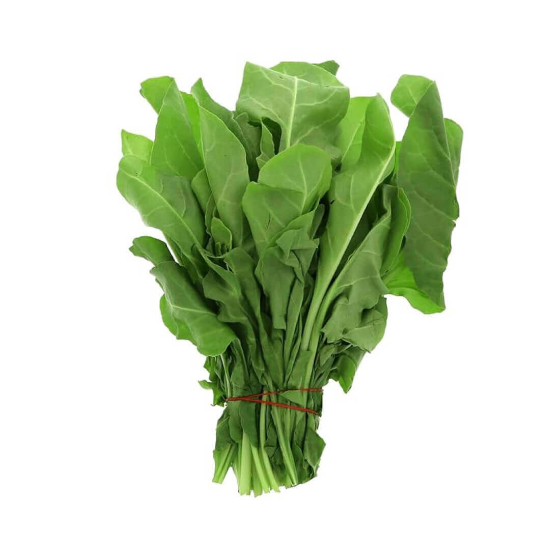 पालक Spinach