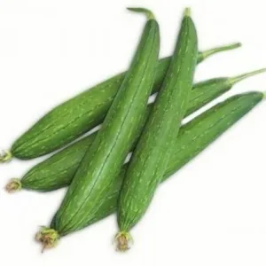 Sponge Gourd (Nenua / Turai)