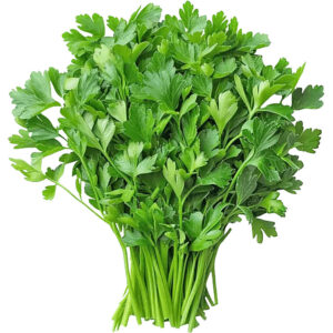Dhaniya (Coriander)