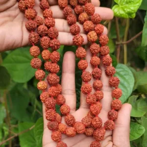 Rudraksha Mala