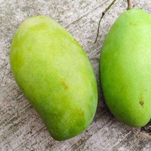 Mango (Seasonal)