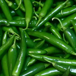 Green Chilli (Mirch)