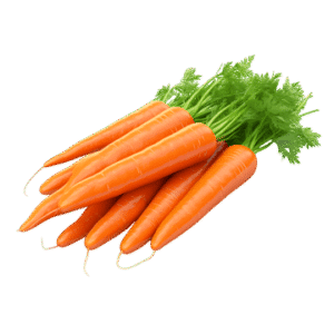 Gajar (Carrot)